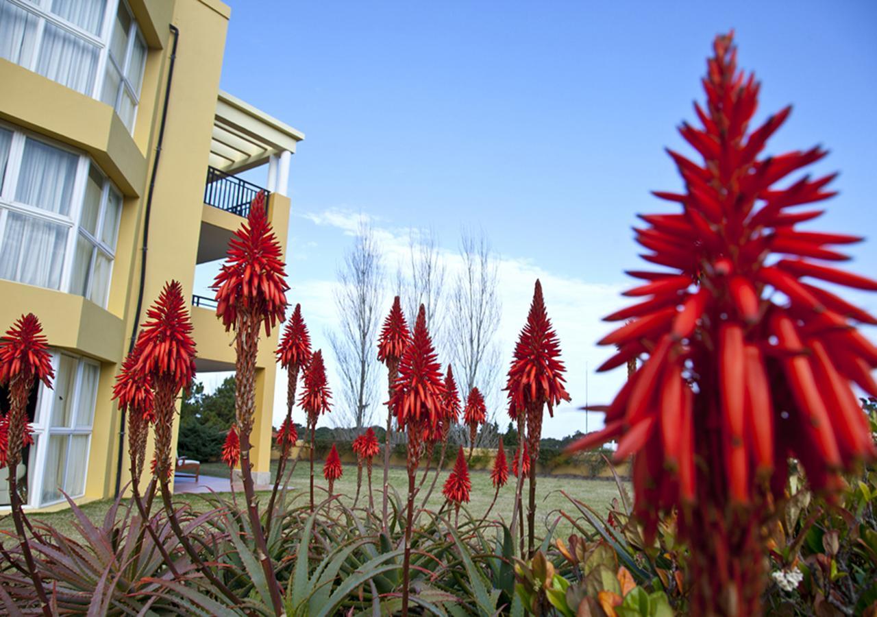 Punta Del Este Resort & Spa La Barra Dış mekan fotoğraf